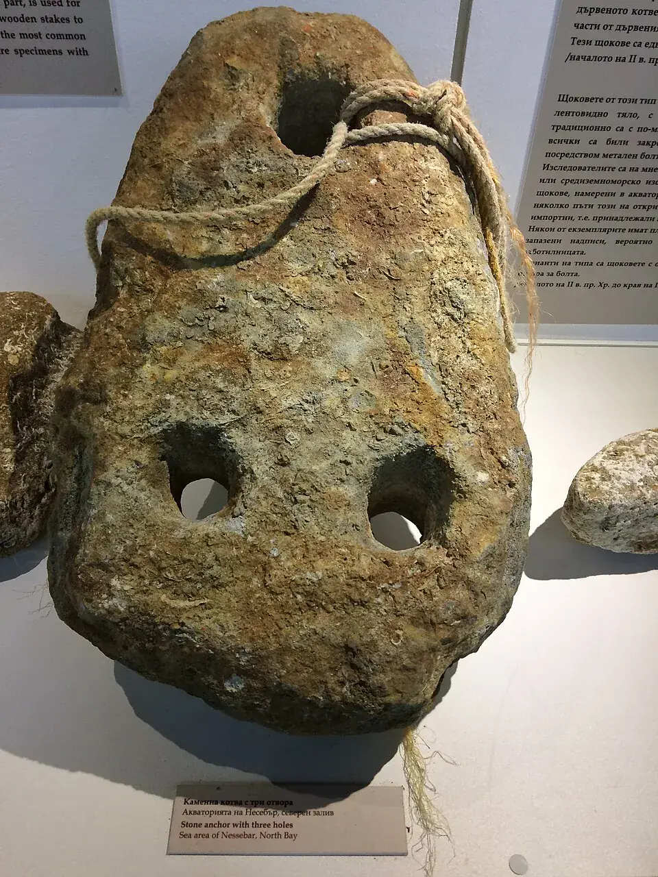 Exponate aus der archäologischen Sammlung