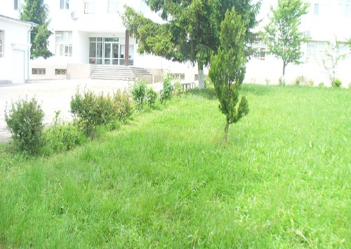 Професионална Техническа Гимназия